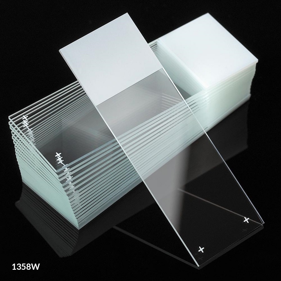 Diamond White Microscope