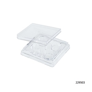 Cell Culture Plates