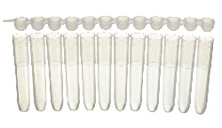 Tubes & Caps