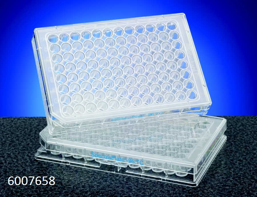 CulturPlate-384, White Op