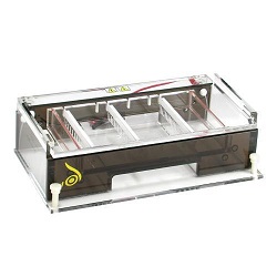 A2 Electrophoresis System