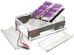 A2-OK Gel Electrophoresis