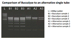 Comparison of Buccaylse