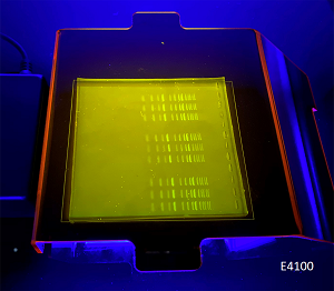 gel viewing