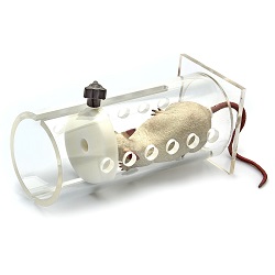 Rat Restraint 3