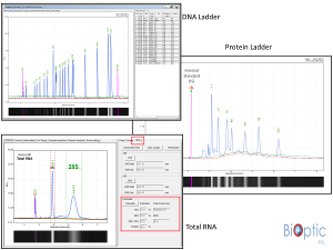 MIDSCI Data Info