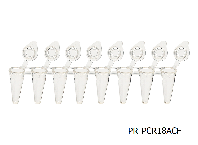 PCR Tube