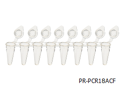 PCR Tube