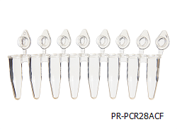 PCR Tube