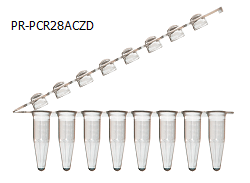 PCR Tube
