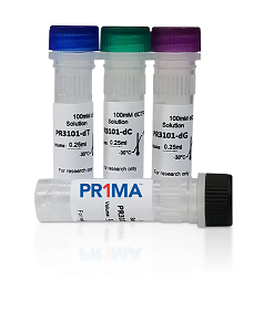 PR1MA dNTP