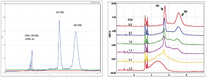 Qsep RNA