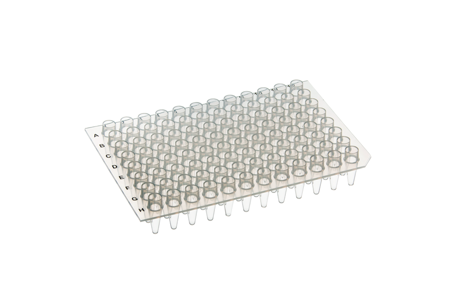 96 well plate
