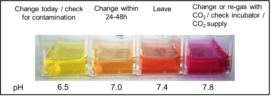 Figure 1 - color variations of pH from yellow, orange, red and magenta. Figure 1 - color variations of pH from yellow, orange, red and magenta.