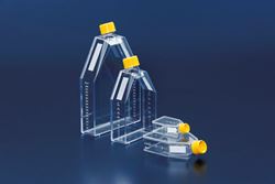 TPP Tissue Culture Flasks